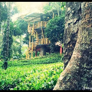 Jungle Jive Tree House Bed & Breakfast Munnar
